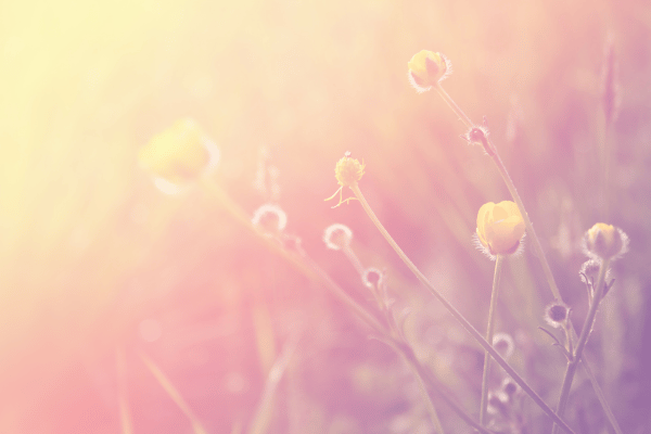 Magic Morning Flow Yoga am Morgen in St. Veit an der Glan